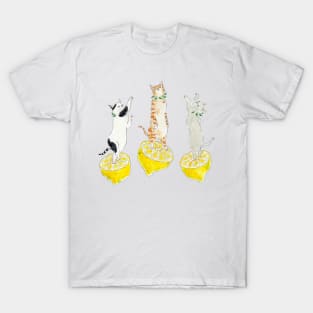 Lelelelemon Nyanco T-Shirt